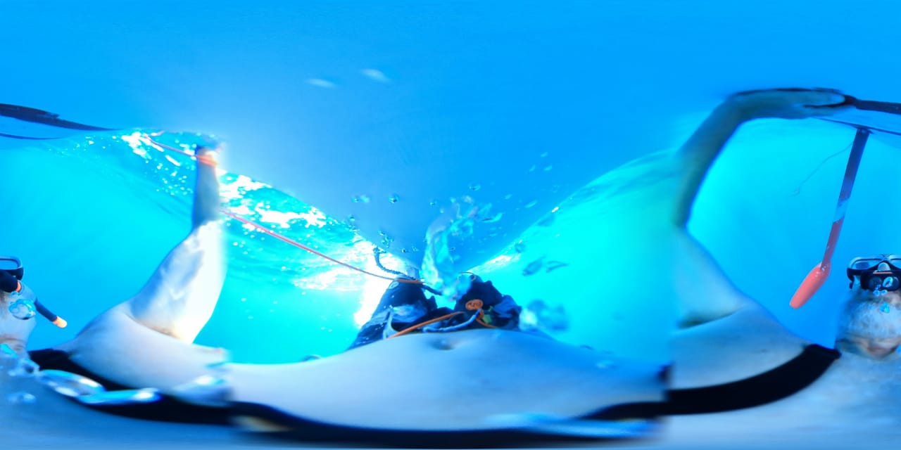 Day 16: I take the plunge