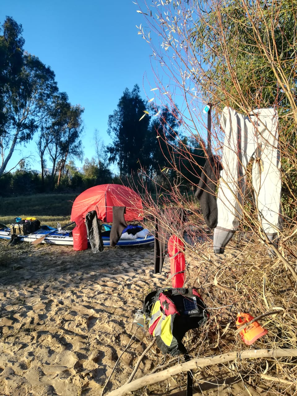 Gear drying on the branches at the day 1 campsite